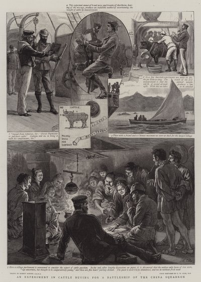An Experiment in Cattle Buying for a Battleship of the China Squadron by Robert Barnes